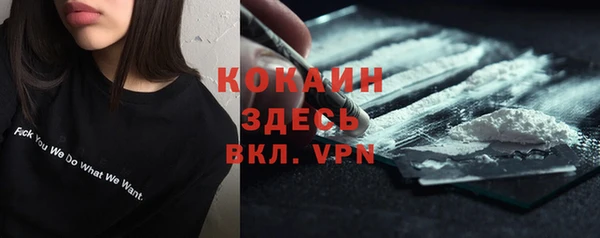 шишки Абинск