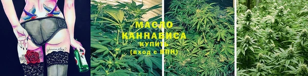 винт Пересвет