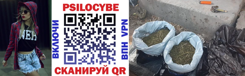Псилоцибиновые грибы MAGIC MUSHROOMS  МЕГА зеркало  Заводоуковск 