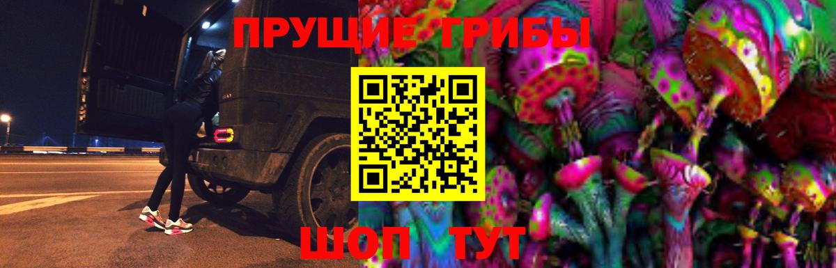 Заводоуковск  Псилоцибиновые грибы Magic Shrooms  Вход с VPN 